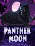 เทคนิค การ ปั่น สล็อต ที่ทำให้เงินไหลมาเทมา